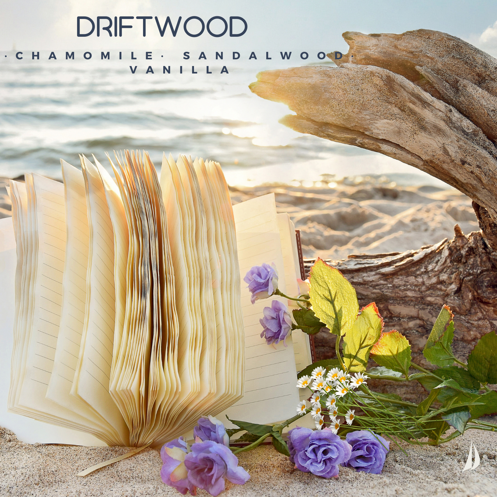 DRIFTWOOD